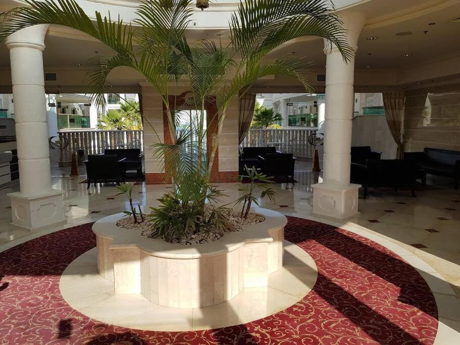 La-Palmore Luxury Apart-Residense Resort With Pool First Line Sea Side Eilat Eksteriør bilde